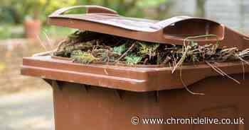 Coronavirus: South Tyneside update on garden waste collection