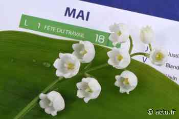Confinement. La vente de muguet autorisée pour les professionnels à Arras - actu.fr