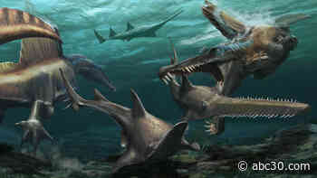 Researchers discover evidence that Spinosaurus dinosaur lived mostly in water