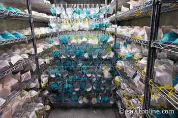 EACOM TO DONATE KN95 MASKS TO FRONT-LINE HEALTHCARE WORKERS OF NORTHERN ONTARIO