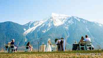 Marriage licences and registrations plummet across Canada during COVID-19 pandemic