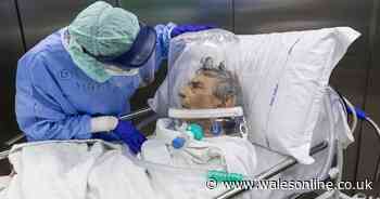 The areas with the fastest spreading outbreaks of coronavirus right now