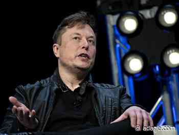 ‘FREE AMERICA NOW’: Elon Musk presses for U.S. to reopen