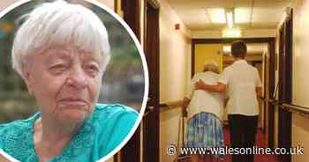 The tragic loss of life being seen in Welsh care homes