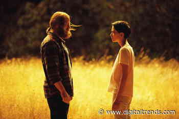 The 15 best new shows to stream on Netflix, Hulu, Amazon Prime, and more