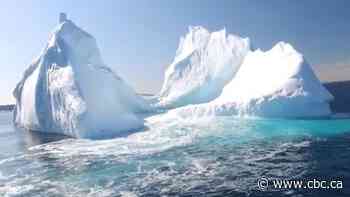 Don't come from away: N.L.'s new rules aim to stop iceberg tourists