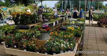 These are the garden centres still trading in and around Bristol