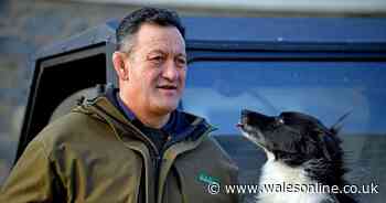 The new life of the Welsh rugby hard man who became a west Wales farmer