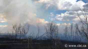 Crews fight grass fire northwest of Saskatoon - CBC.ca