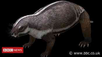 'Crazy beast' lived among last of dinosaurs