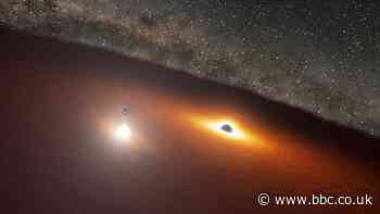 Dancing gargantuan black holes perform on cue