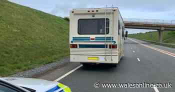 Driver travelled from Brighton to Tenby to pick up this camper van