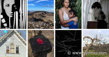 Eight Photographers’ Pictures From Isolation