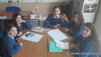 Cork students make Ireland's Best Young Entrepreneur Final with innovative mini-company - Echo Live