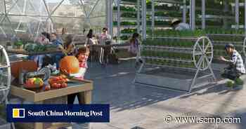 ‘Tesla of eco-villages’ vision for a post-Covid-19 world - Better Life