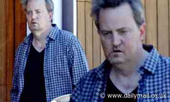 Matthew Perry has a serious case of quarantine hair after spending pandemic 'nude eating'