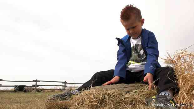 6-year-old discovers 62-million-year-old fossilized leaf