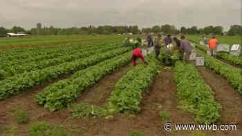 A look at many concerns facing local farmers as COVID crisis continues