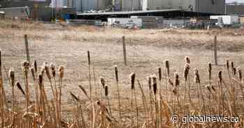NDP demands inquiry into Alberta meat plant COVID-19 protocols as Cargill plans reopening