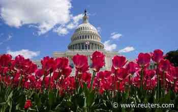 U.S. congressional Democrats push for coronavirus medical supply czar - Reuters