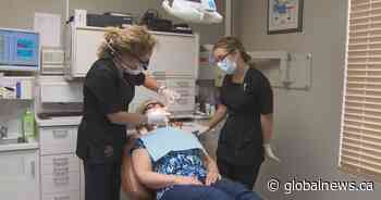 ‘New normal’: Saskatchewan dentists prepare to accept more patients under COVID-19 protocols