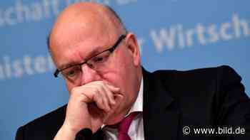 Mega-Minus in allen Bereichen! - Altmaier legt Schock-Zahlen vor - BILD