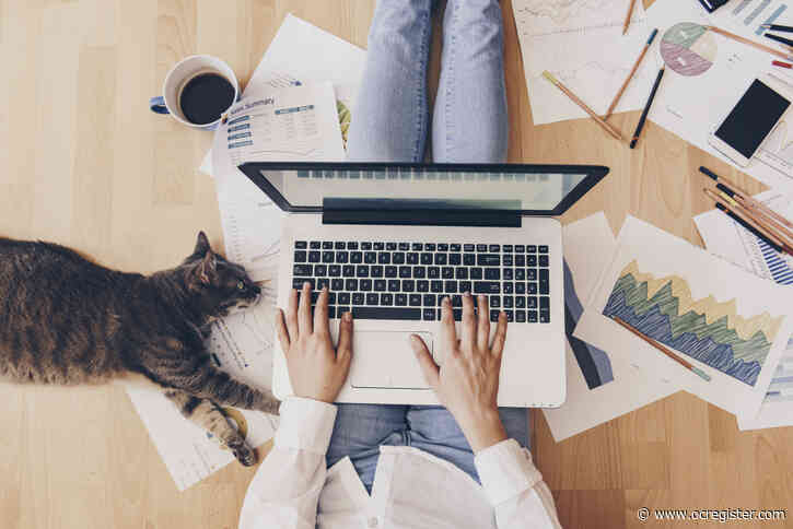 Working apart, staying productive: Strategies to help employees thrive