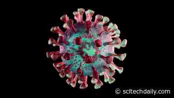 Making Sense of the Viral Multiverse: Situating Coronaviruses Within Mind-Bendingly Vast Virosphere