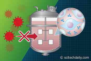 MIT Study: Viral Contamination of Medicine at Drug Manufacturing Plants