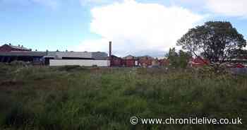 Site of massive housing development closed because of coronavirus