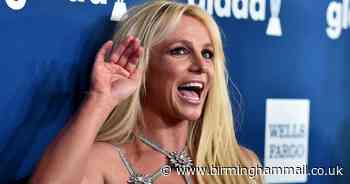 Britney Spears accidentally burns down gym with two candles at her home