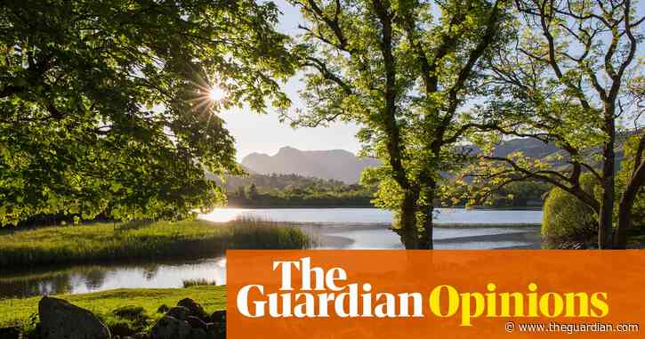 Trees are bringing me joy in lockdown – and here’s how I’m learning to identify them | Adrian Chiles