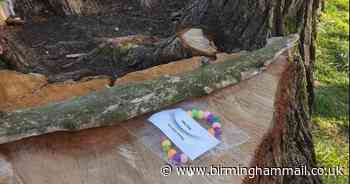 Why bracelets are being left in Solihull parks - Birmingham Live