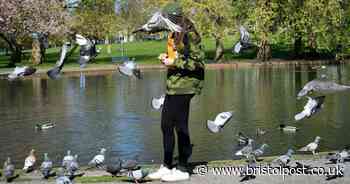 When it will be sunny again in Bristol according to Met Office