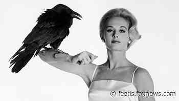 'The Birds' star Tippi Hedren reveals what her life is like in quarantine: 'My only routine is no routine'