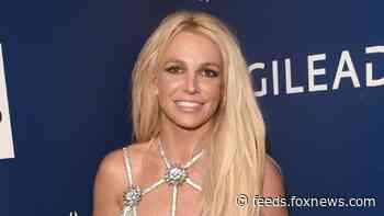 Britney Spears says she accidentally burnt down her gym with candles