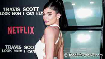 Kylie Jenner claps back at social media user who criticized her hair