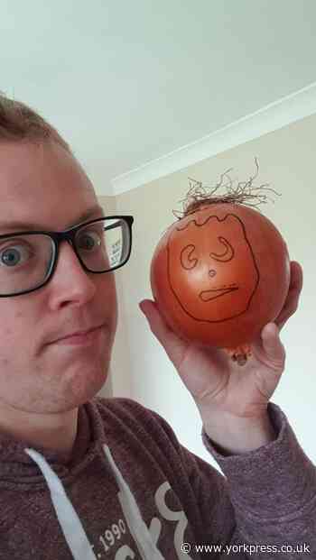 York resident finds more large food - but not a chip this time