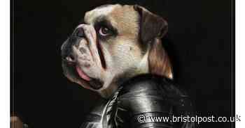 Bristol photographer starts adorable new craze during lockdown