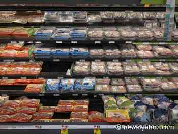 ‘I can’t see all these people going back into work’: Meat-packing employees sceptical that many will return to plants, despite executive order