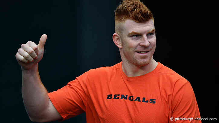 Report: Bengals Release Quarterback Andy Dalton
