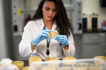 Johns Hopkins opens coronavirus testing data to the public