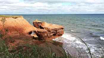 Are islands safer places to be during COVID-19? Researchers hope to find out