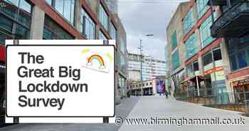 The Great Big Lockdown Survey - tell us your experiences of life at this time