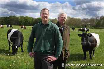 Wolf richt wéér slachting aan: vijf dode schapen en twee spoorloze lammetjes