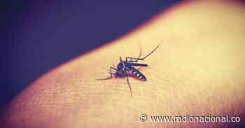 Alerta en el Medio Atrato chocoano por aumento de casos de malaria - http://www.radionacional.co/