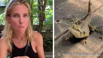 Elsa Pataky and Chris Hemsworth are joined by a lizard at breakfast - New Idea