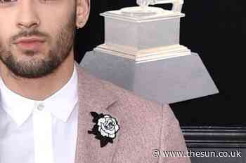 Who is Zayn Malik? Age, net worth, girlfriend and One Direction career - The Sun
