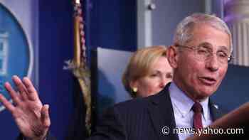 Dr. Fauci says remdesivir has 'positive' effect on coronavirus patients