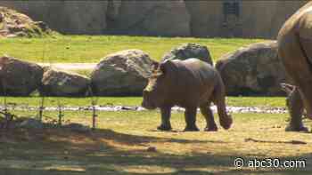 Fresno Chaffee Zoo offers digital pen pal program to teach kids about animals